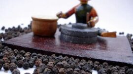 Black Pepper: Chances of Roaming in a Limited Range