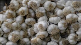 Garlic's Price Surge: A Whiff of Opportunity for Traders