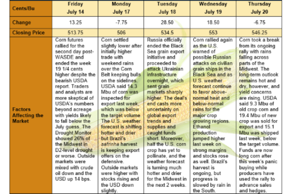 Corn Market Affect of Grain Deal and Weather Forecasts