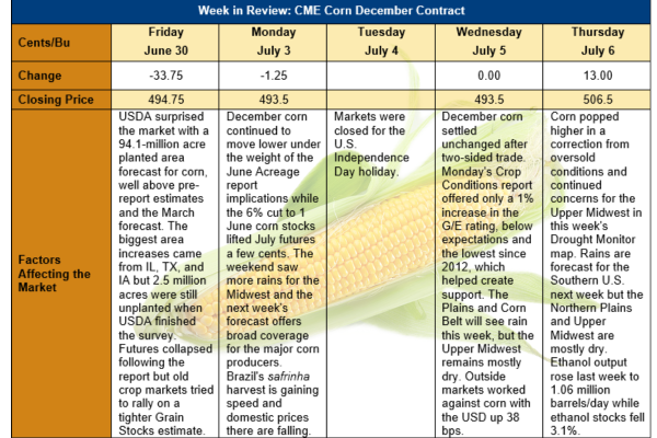 Volatile Corn Market - Drought Worries and USDA Report