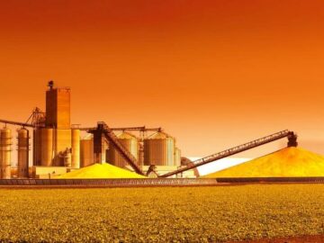 Brazil May Decrease corn Acreage in My 2023/24