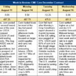 Corn Market Perspectives: Futures Decline After Wasde Report