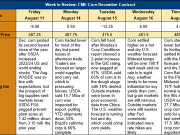 Corn Market Perspectives: Futures Decline After Wasde Report