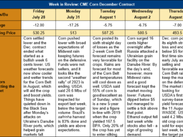 Corn Market Perspectives: Dramatic Change in the U.S. Weather Forecasts