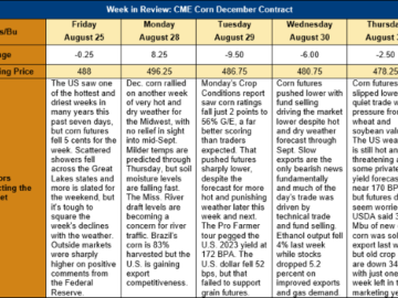 Corn Market Perspectives – Weather is the Primary Focus