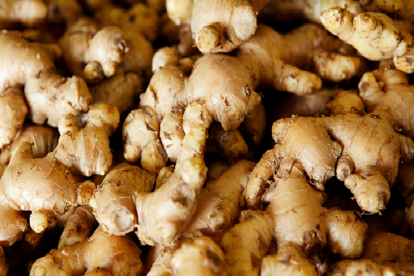 Ginger Chronicles: A Mild Descent Beckons in the World of Dry