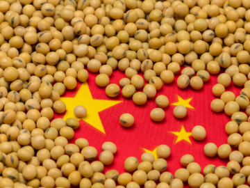 Brazil Sails Ahead: Soybean Export Dynamics Shift with China's Embrace