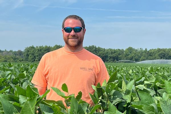 New Soybean Yield Record Exceeds 200 Bushels per Acre