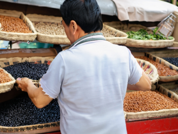 Chinese Black Kidney Beans Analysis of the Export and Forecast of Prices