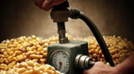 Chinese Market Is Putting Pressure on Global Corn Prices