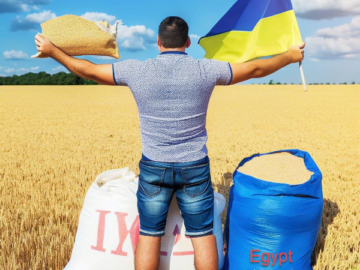Egypt Increases Wheat Imports From Ukraine