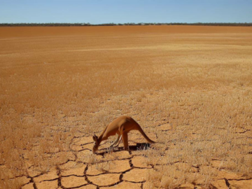 El Niño Hits Wheat Production in Australia