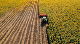 Grain and Oilseeds Harvest in 2023 Will Amount to 79 Million Tons in Ukraine