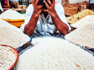 India's Basmati Rice Woes A Market Share Meltdown