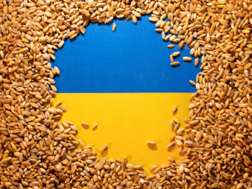 Ukraine Is Successfully Fighting the Shadow Grain Export.