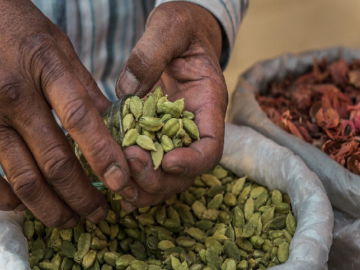 Small Cardamom: Navigating Narrow Waters Amidst Monsoonal Flux