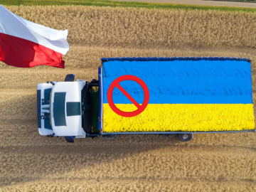 Poland Intends to Extend the Embargo on Imports of Ukrainian Oilseeds