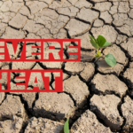 Severe Heat in Brazil Poses a Risk to Soybean Crops
