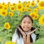 Sunflower Market in China Waiting for New Crop