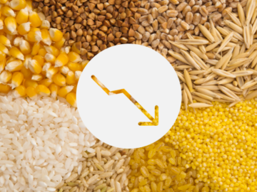 Price Declines Are Not About Ukrainian Agriproducts - Solskyy