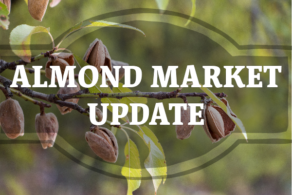 Almond Market Report: Strong Demand Amidst Weather and Supply Trends