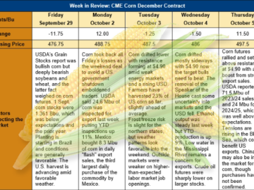 Market Market Perspectives The U.S. Corn Crop Is in the Final Stages