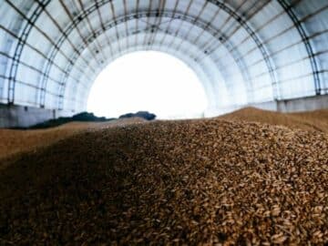 Poland to Build Its First Grain Port