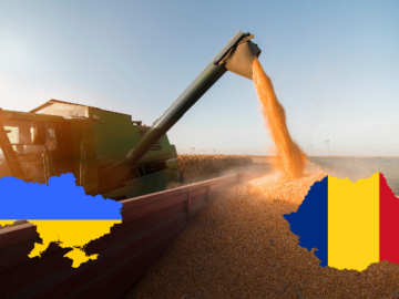 Romania Has Become the Key for Ukrainian Agricultural Exports