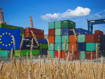 Wheat Exports of EU Reached Almost 9 Million Tonnes