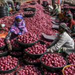 Onion Market Outlook: Bangladesh Trade Could Improve Prices