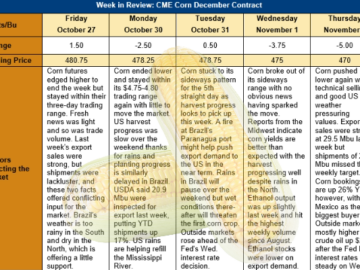 Corn Market Final Stages of Harvesting in the U.S.