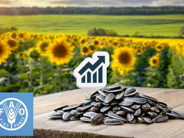 FAO Global Production of Oilseeds to Increase Record High