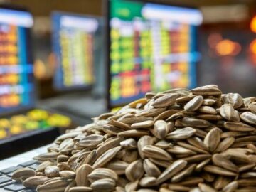 Sunflower Seed Prices Rise in China's Tianjin Market