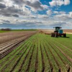 USA Is Finishing Planting Winter Wheat - Heavy Rains Halted Winter Grain Planting in France - Current Weather Conditions in the EU May Cause Damage to Winter Crops