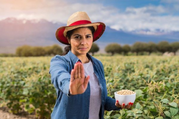 Argentina Farmers Stop Soybean Sales - New President New Hopes