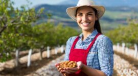 Almond Market: 3. Strongest Shipment for October in USA - Blue Diamond Almonds Market: A Strong Start to the Year
