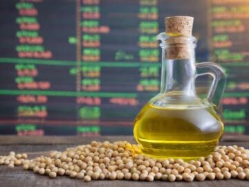 Soybean Market: Prices Continue to Fall in Ukraine