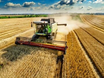 Indonesia Boosts Imports of Low-Quality Wheat Amidst Grain Shortage