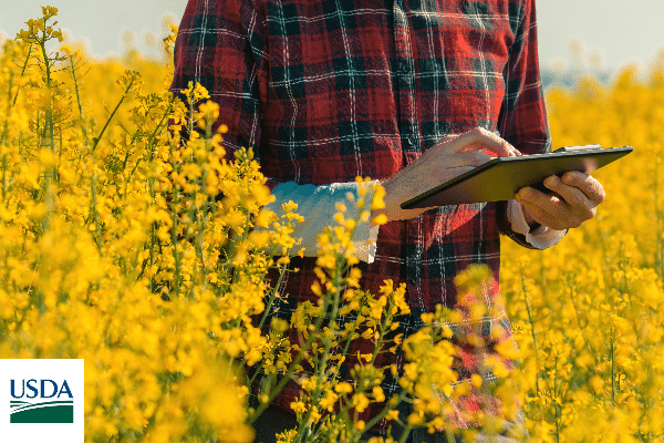 Germany Leads Ukrainian Oilseed Imports, Romania Dominates in Vegetable Oils