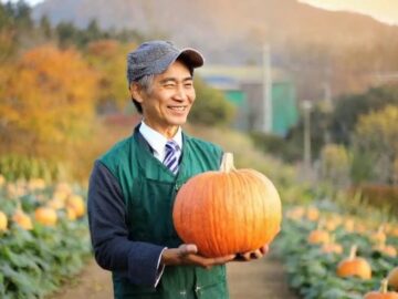 Chinese Pumpkin Kernel: Forecast the Price Will Fluctuation After a Week