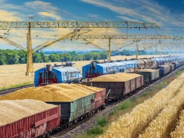 EU Grain Imports Witness 23% Decline: Ukraine and Russia Maintain Key Supply Rol