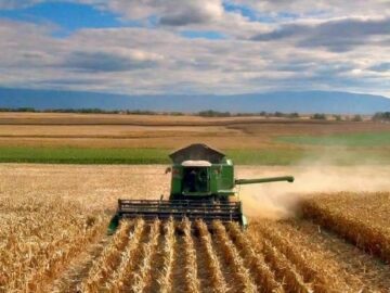 Global Corn Market Dynamics: Southern Hemisphere Outlook, Production Challenges, and Emerging Trends