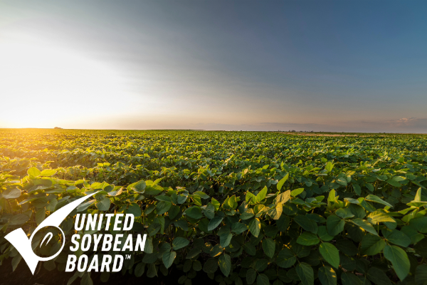 U.S. Soybean Industry Achieves Significant Reduction in Carbon Footprint, Study Finds