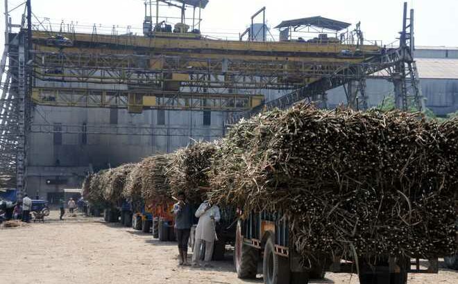 Government Infuses A Lumpsum Amount into Sugar Mills Over Five Years