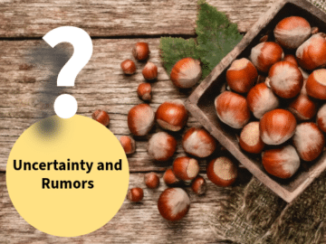 Turkish Hazelnut Market Uncertainty and Rumors- Assessing Current Dynamics and Future Outlook