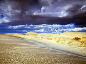 Heavy rains in the US and Brazil and drought in Argentina will be the main drivers of price pressure Traders' attention is still focused on South America, where the weather is generally favorable for soybean and corn crops, but drought is returning to Argentina, albeit with cooler temperatures. In the main agrarian regions of the Midwest and the Plains of the USA this week, rain and snow will pass, and temperatures will drop to -8..0 o C, which will contribute to an increase in soil moisture reserves. Next week, temperatures will again exceed the norm, so in some regions in the south they can start sowing spring crops. Surveys show that US farmers will drastically reduce the area of corn planted this year in favor of soybeans, and will also reduce the area under wheat. In the central part of Brazil, the weather is favorable for harvesting soybeans. High harvesting rates allow you to sow second-crop corn faster. Intermittent rains are helping crops grow, so analysts are starting to raise crop forecasts after a recent decline.