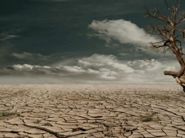 North African Countries Face Decreased Productivity Due to Prolonged Drought