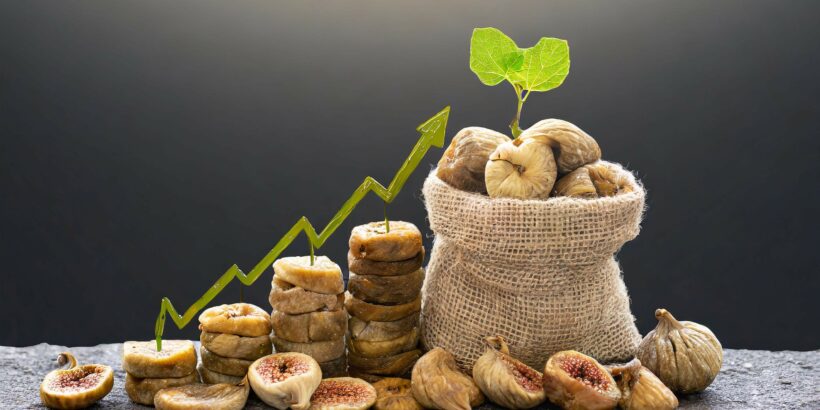 Changing Dynamics in the Dried Fig Market with Growing Prices