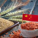 China Poised to Set Import Record for Grain and Oil Crops in 2024