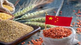 China Poised to Set Import Record for Grain and Oil Crops in 2024